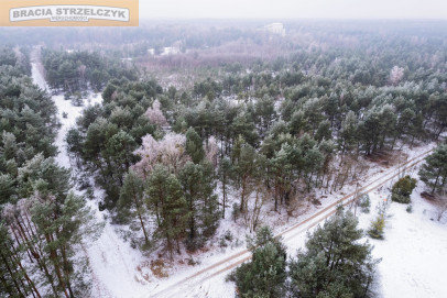 Działka Sprzedaż Michałów-Reginów